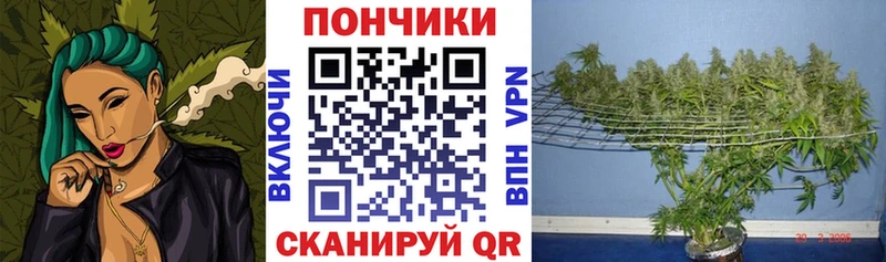 Бошки марихуана OG Kush  Кувандык 